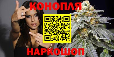 прущий лед Будённовск
