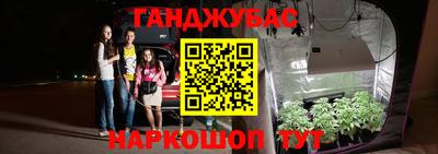 сатива Бузулук