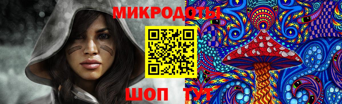 Псилоцибиновые грибы Psilocybe Нефтекамск