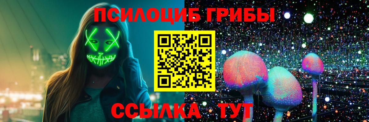 Псилоцибиновые грибы Psilocybe  Вход с VPN  купить закладку  Нефтекамск  Псилоцибиновые грибы Magic Shrooms 